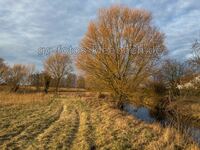 Ende des Winters am Landgraben