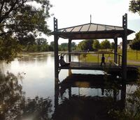 Hochwasser-Idylle (Erfelden)