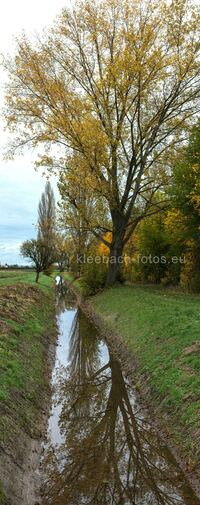 Herbstfarben vor Schusterw&ouml;rth