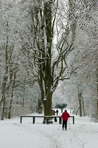 Wintersport in der Fasanerie